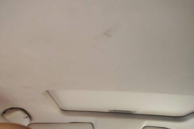 Used Great Wall Poer 2021 2.0T Global Version Automatic Diesel 4x4 Sporty Standard Cab GW4D20M
