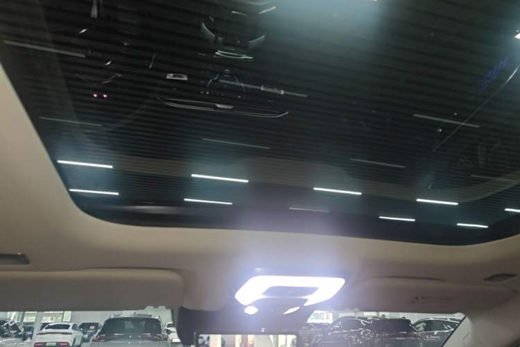 Used Hongqi E-HS9 2022 660 km Range Flagway Edition Six Seats
