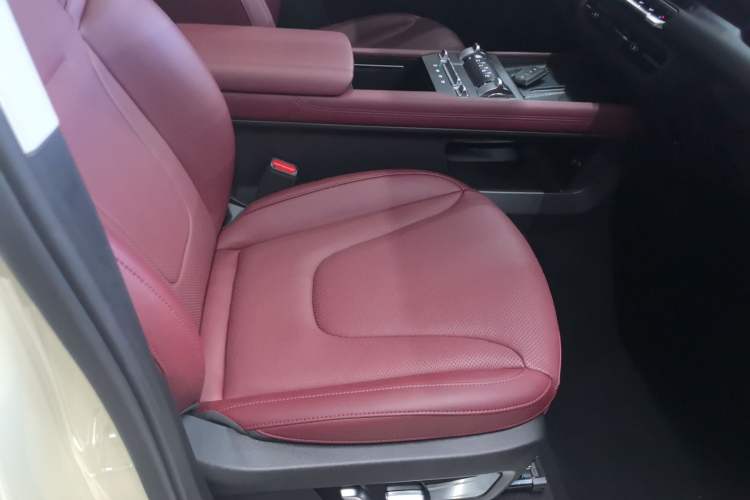 Used Tank 300 2025 2.0T Conqueror