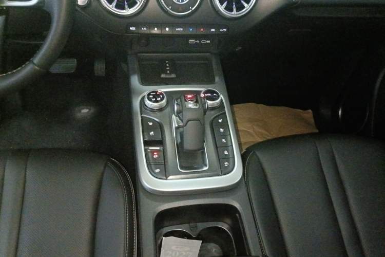 Used Tank 300 2024 2.0T Crosser
