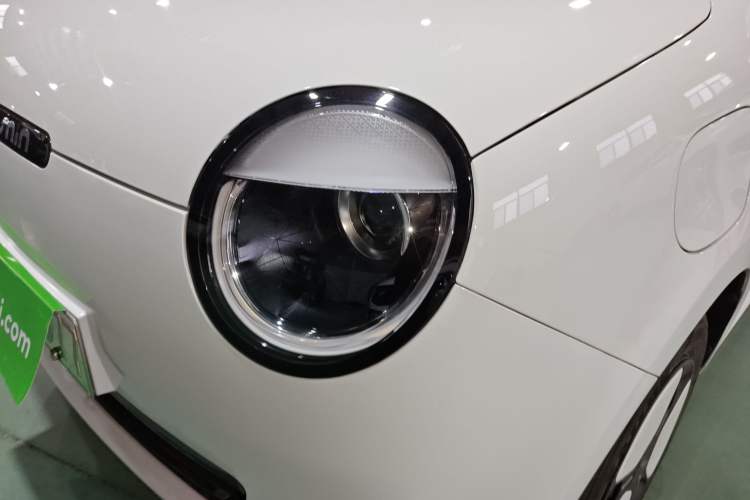 Used Qiyuan Lumin 2023 205km Xiangqin Version
