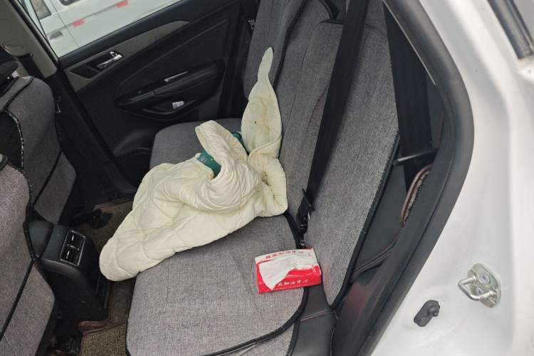 Used CHANGAN CS75 2017 Shangkui Edition 1.5T Automatic Fengxiang Model Left Rear Seat