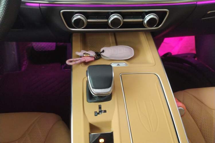 Used Hongqi HS5 2023 2.0T Four-Wheel Drive Flagship Pro Edition
