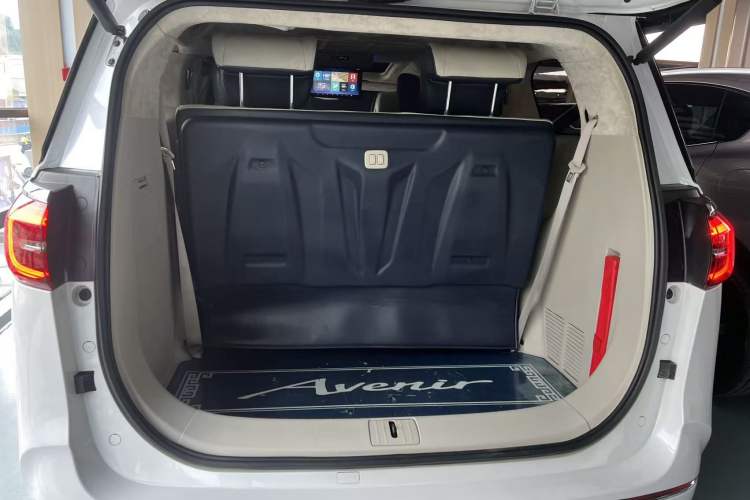 Used Buick GL8 2021 ES Landtrek 653T Comfort Edition
