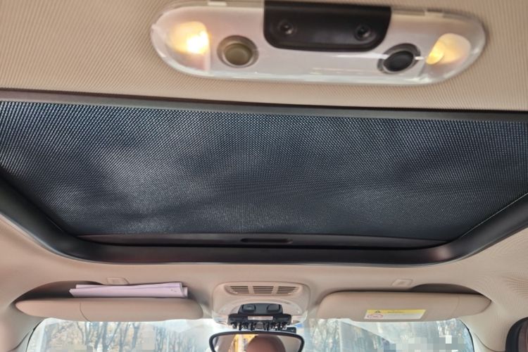 Used MINI 2023 2.0T COOPER S Artist Five-Door Edition Headliner