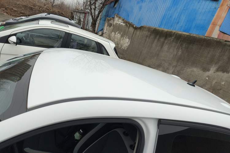 Used ORA Black Cat 2021 301 km Basic Version