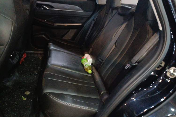 Used Dongfeng Aeolus SKY EV01 2023 445km PRO Left Rear Seat