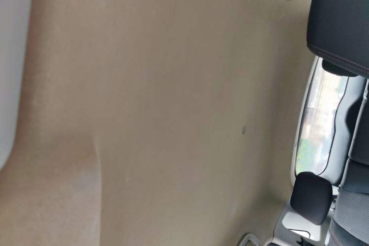 Used Leopaard CS9 2017 1.5L CVT Fashion Edition Headliner