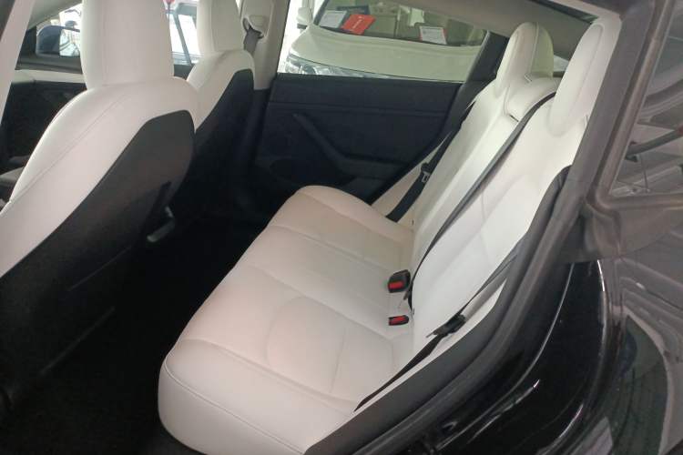 Used Tesla Model 3 2021 Revised Version II – Performance High-Performance All-Wheel-Drive Edition Left Rear Seat