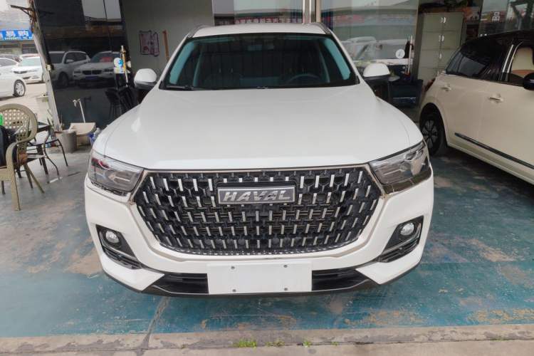Used Haval H6 2023 National Trend Edition 1.5T Automatic Urban Version
