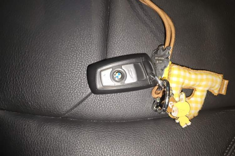 Used BMW 3 Series 2017 320Li Fashion Model