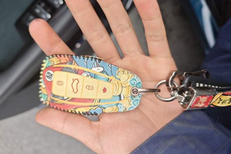 Used Geely Auto Monjaro L 2021 2.0TD DCT EVO Two-Wheel Drive Prestige Version
