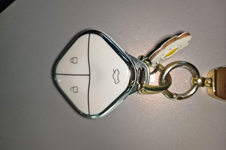 Used Wuling Bingo S 2025 Model 325km Deluxe Edition Vehicle Key