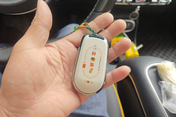 Used ORA Good Cat GT 2023 Mulan Edition 401km Prestige Version