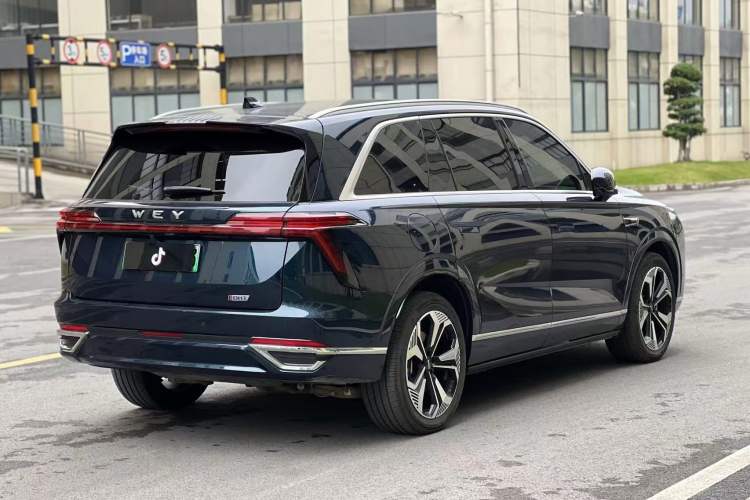 Used Wey Lanshan 2023 Four-Wheel Drive Ultra-Long Range Version