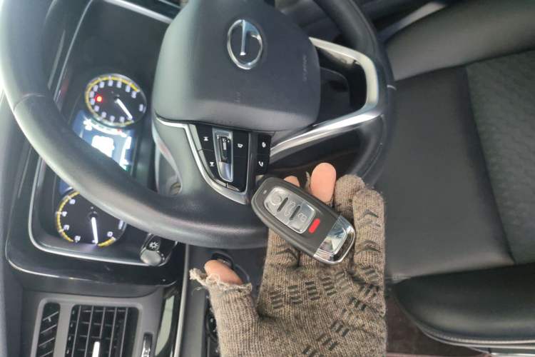 Used GAC Trumpchi M8 2021 Revised Version Lingxiu Series 390T Luxury Edition