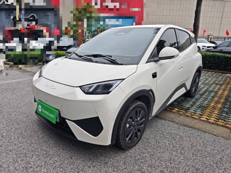 Used BYD Seagull 2026 Model, 305 km Freedom Edition — 1