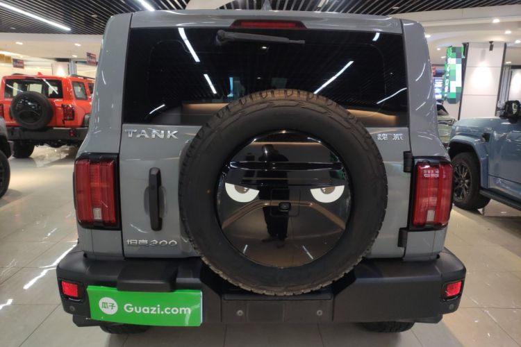 Used Tank 300 2021 Off-Road Edition 2.0T Conqueror Rear