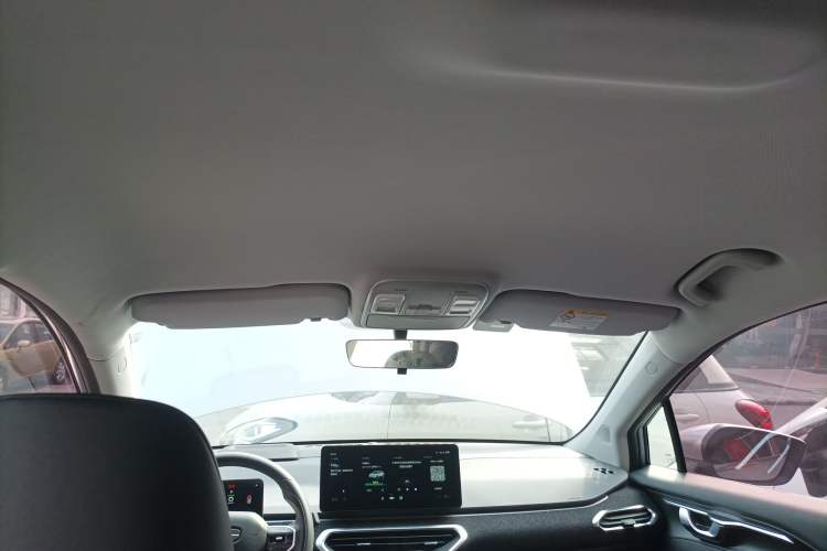 Used Geometry C 2022 400KM Blueberry Pro Headliner