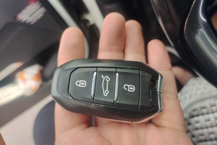 Used DS 5 2012 1.6T Elegant Edition Vehicle Key