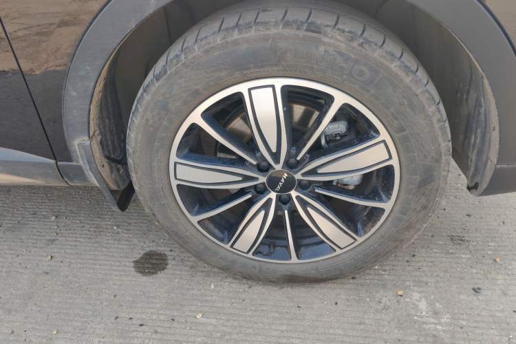 Used Haval H6 2023 National Trend Edition 1.5T Automatic Champion Version