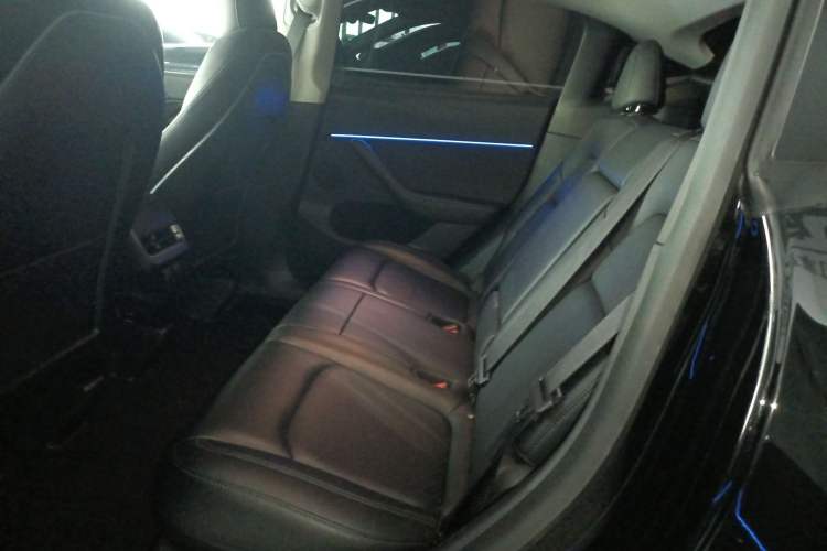 Used Tesla Model Y 2021 Standard Range Rear-Wheel Drive Version