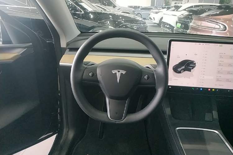 Used Tesla Model Y 2022 Revised Version Rear-Wheel Drive
