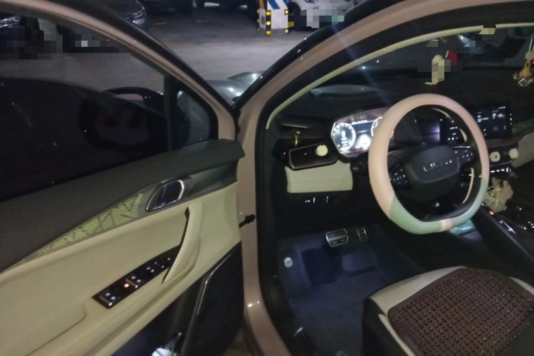 Used Lynk & Co 06 2021 1.5T Shero Pink Special Edition Driver Seat