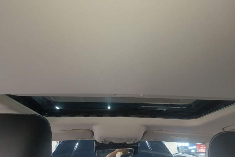 Used Tank 300 2021 Off-Road Edition 2.0T Challenger Headliner