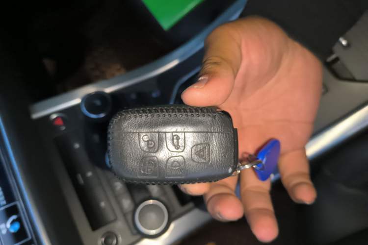 Used Land Rover Range Rover Evoque 2015 2.0T Five-Door Zhiyao Edition
