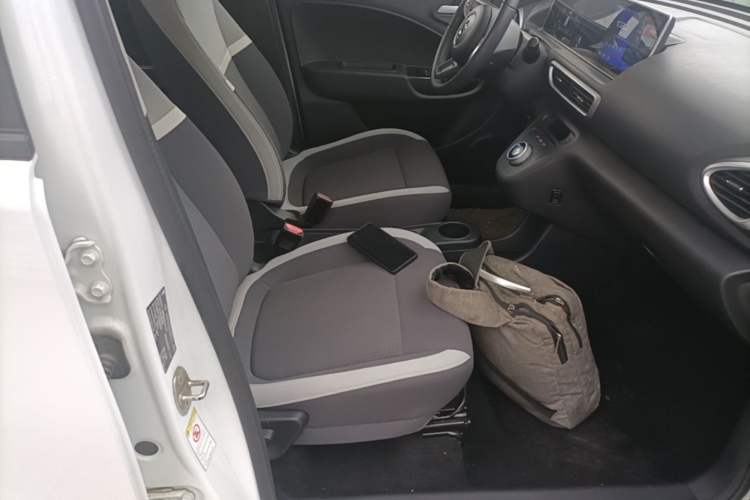 Used ORA White Cat 2020 360 km Luxury Version