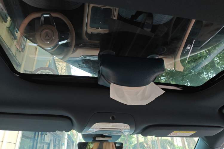 Used VOYAH FREE 2024 Ultra-Long Range Intelligent Driving Version
