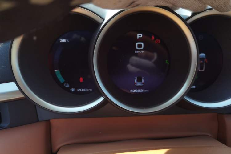 Used ORA Lightning Cat 2022 555 km Luxury Edition
