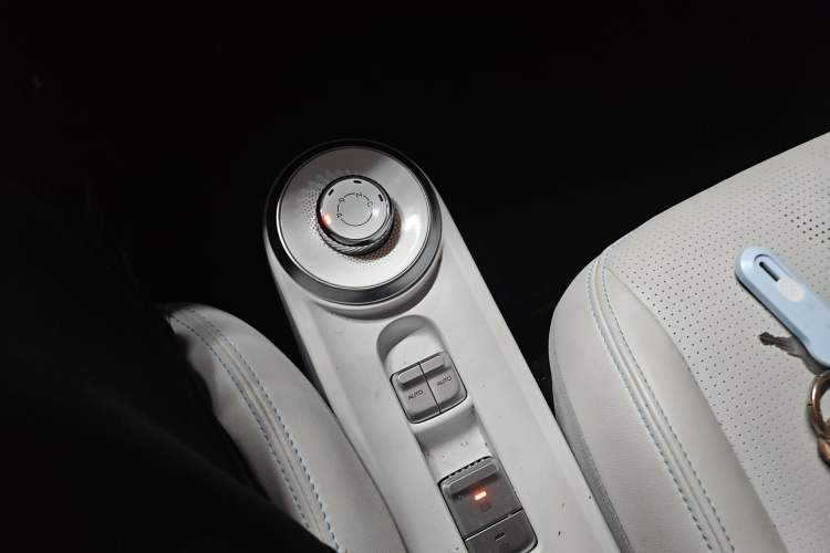 Used Wuling Air ev 2023 - Four Seats - Advanced Edition Gear Lever