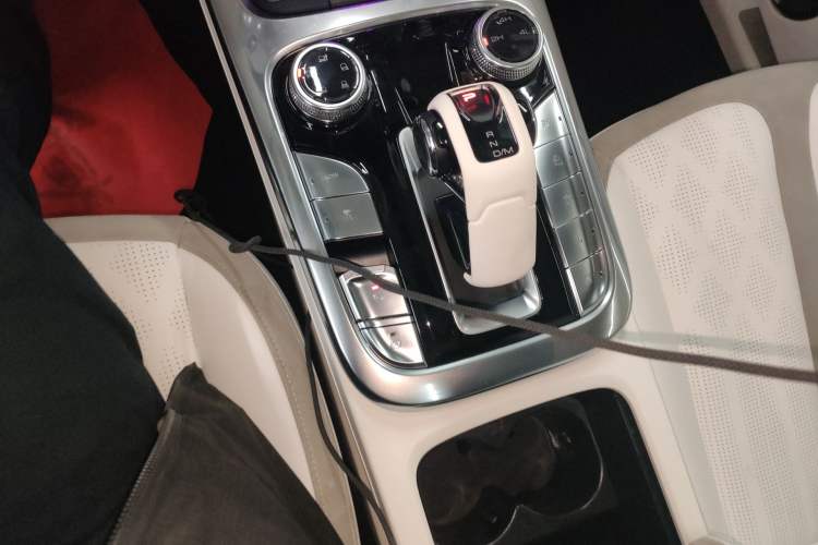 Used Cyberspace Tank 300 2021 2.0T Cyber Tank