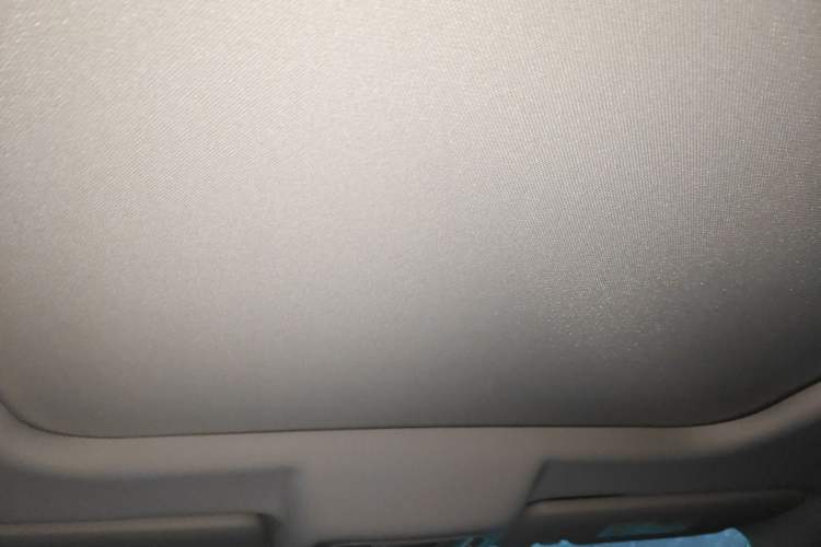 Used Haval DARGO 2021 1.5T DCT Two-Wheel Drive Border Collie - Wangcai Edition Headliner