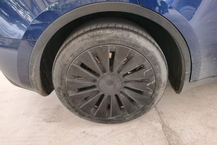 Used Tesla Model Y 2021 Long-Range All-Wheel-Drive Version 3D7