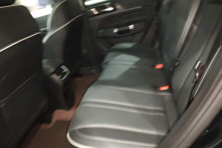 Used Tank 300 2024 2.0T Crosser