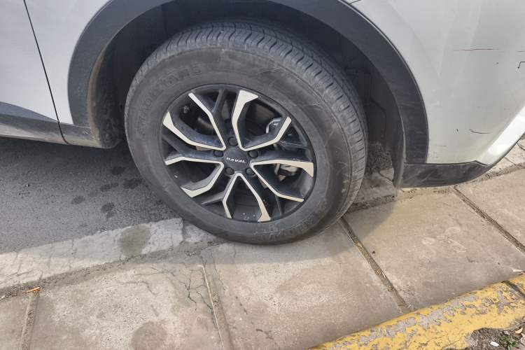 Used Haval H6 2023 National Trend Edition 1.5T Automatic Urban Version