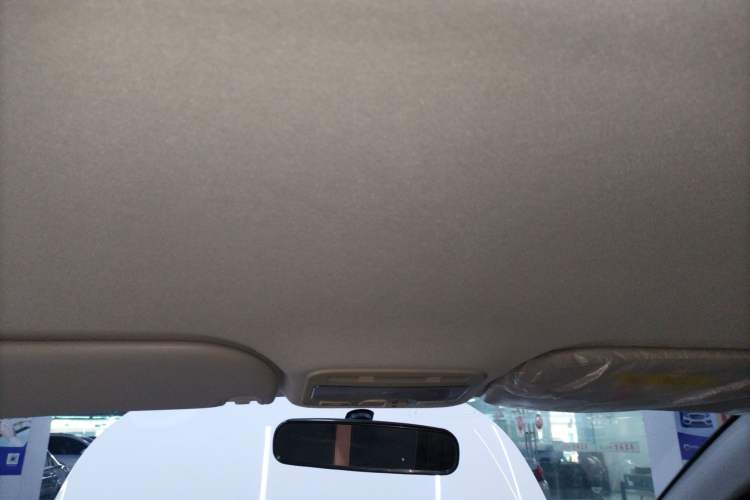 Used SOL E10X 2022 Flower Fairy Design Dandelion