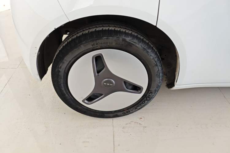 Used ORA White Cat 2020 360 km Luxury Version
