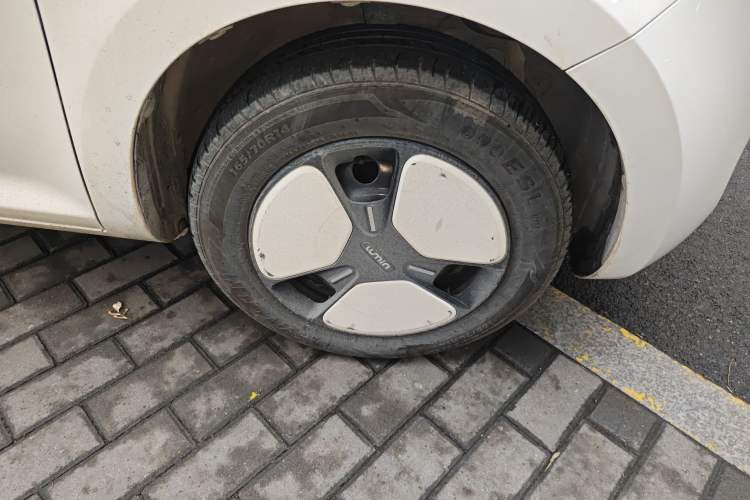 Used Qiyuan Lumin 2023 301km Honey Dew Edition