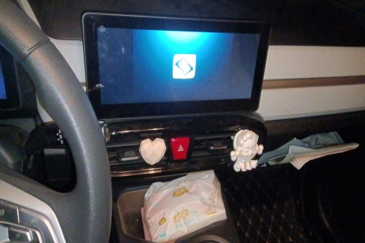 Used SOL E10X 2022 Flower Fairy Design Four-Leaf Clover Audio And AC Panel