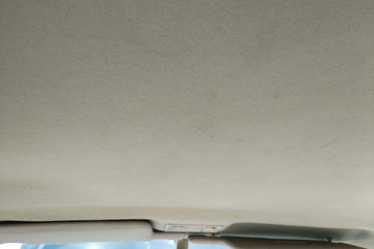 Used Chery Cowin 2 2012 1.5L Manual Standard Edition Headliner