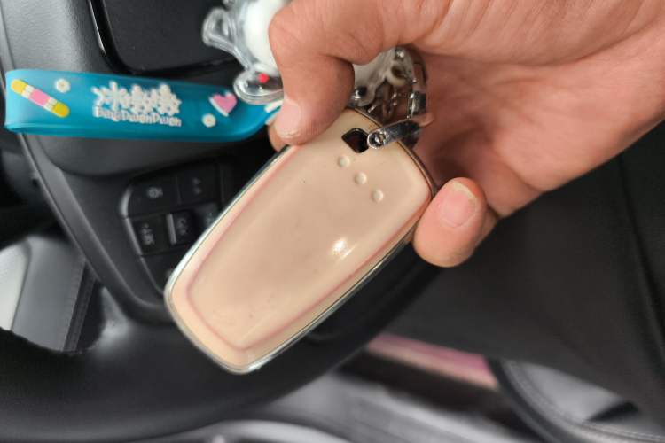 Used Ford Mustang Mach-E 2021 Leap Edition Rear-Drive Version (Standard Range)
