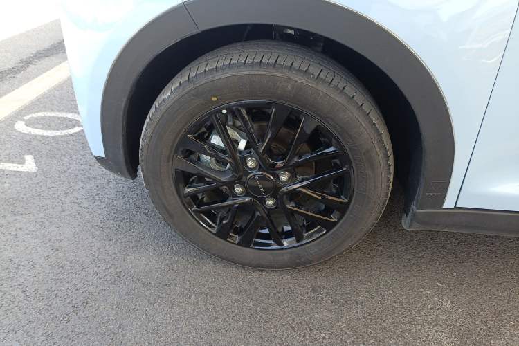 Used Chery QQ Little Ant 2024 Edition Youth Version 251km True Love Edition 25.05 kWh Exterior 4