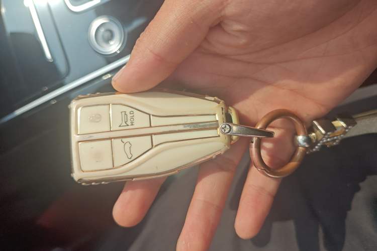 Used Hongqi HS5 2022 Revised Version 2.0T Smart Connect Flagship Edition
