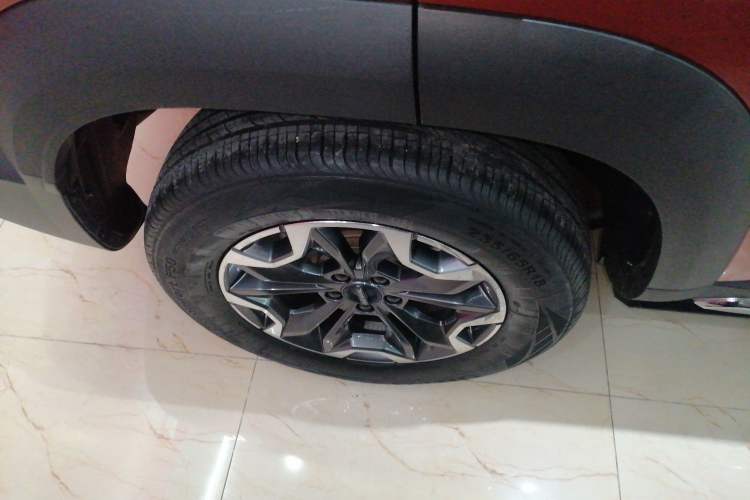 Used Haval DARGO 2021 2.0T DCT 4x4 Chinese Rural Dog Edition