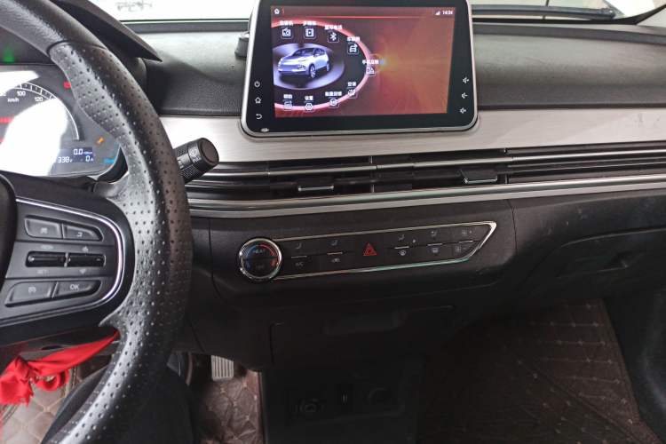 Used Dayun Yuehu 2022 30.66 kWh Two-Wheel Drive Standard Version
