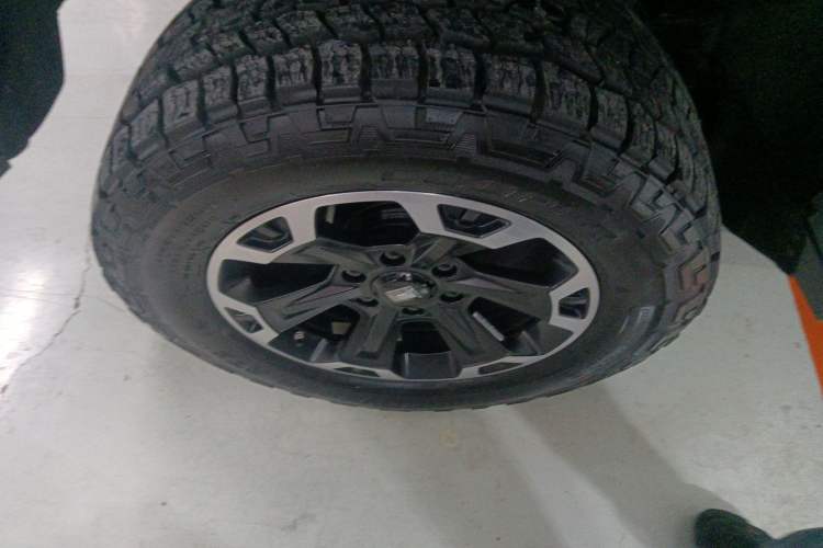 Used Tank 300 New Energy 2025 Hi4-T
